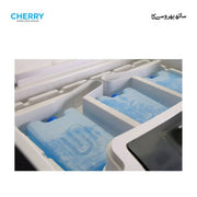 Cherry CR-3200 80L Room Air Cooler