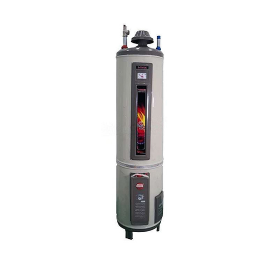 i-Max Stand Twin Electric & Gas Water Geyser 25-GLNT